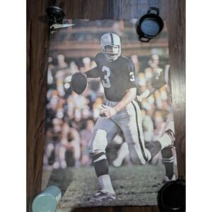 daryle lamonica 1968 sport illustrated poster Vintage Oakland Raiders NFL